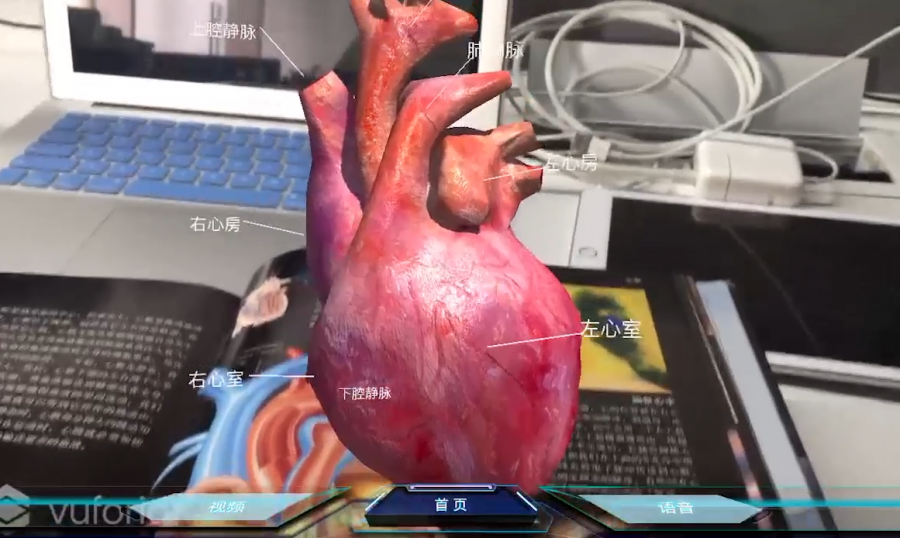 heart.png